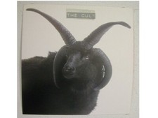 The Cult Poster Flat