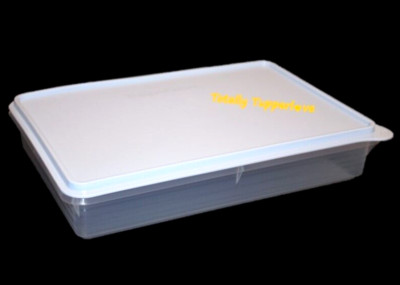 Tupperware Snack N Stor Large Keeper Rectangle Container Store Ice Blue NEW