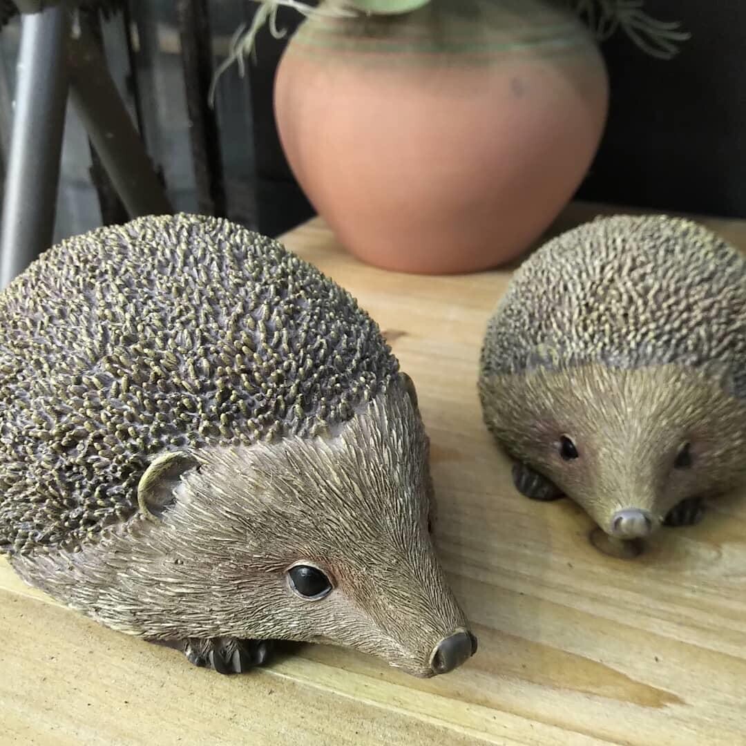 Pair Of Resin Garden Hedgehogs Ornaments Outdoor Or Indoor Use eBay