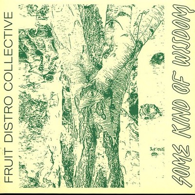Fruit Distro Collective - Some Kind Of Wisdom (Vinyl LP - 2022 - EU - Original)