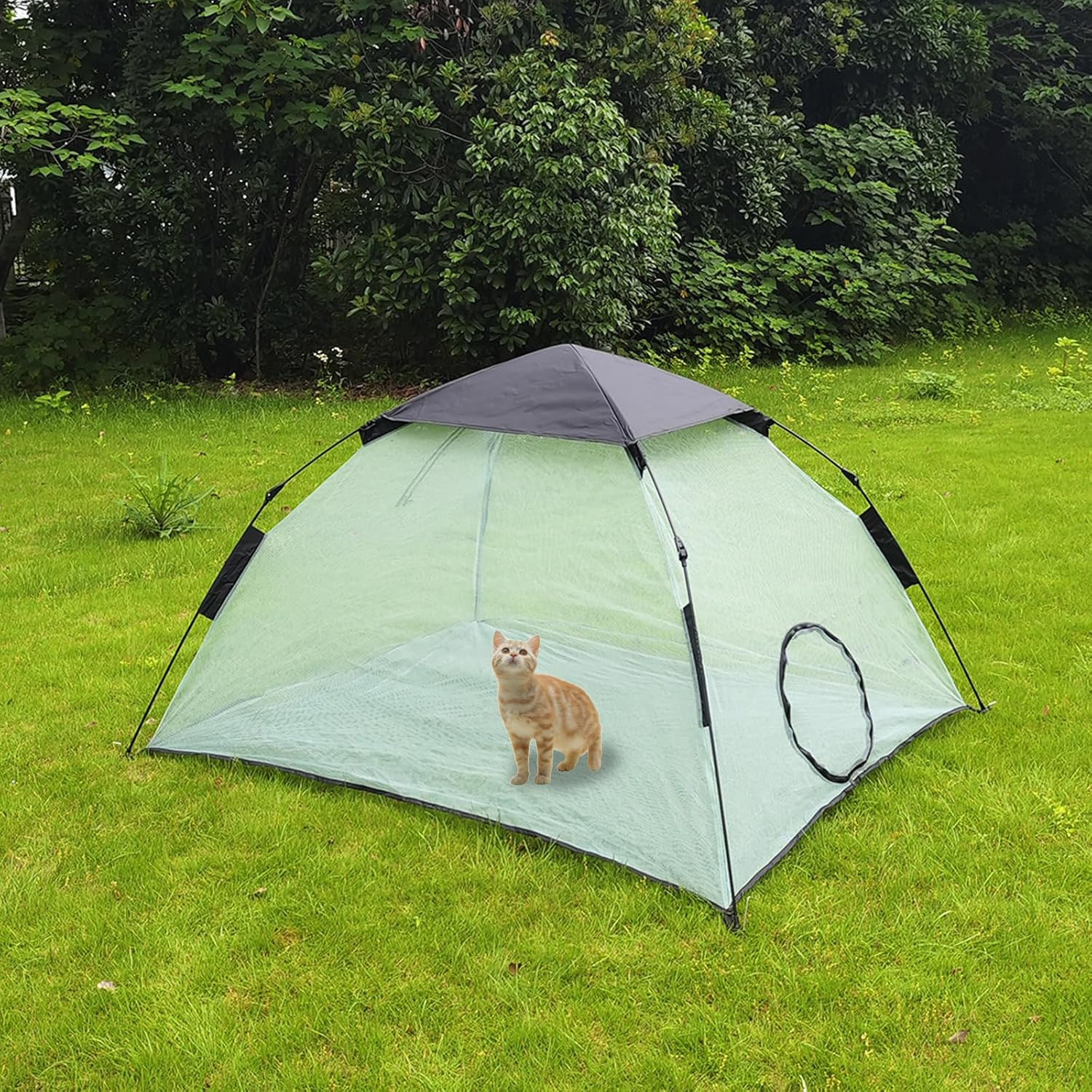 Tenda Portatile Gatti Offerta | Recinto Esterno Grande Prezzo Top