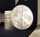 1 oz American Silver Eagle .999 Fine Silver Dollar
