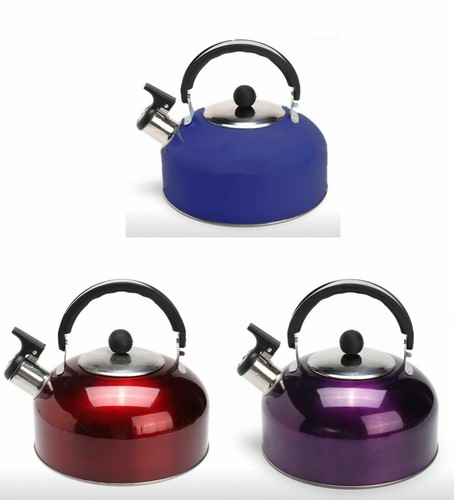 Caldera de flauta de acero inoxidable caldera de pipa caldera de agua hervidor de agua tetera 2,5 litros - Imagen 1 de 9