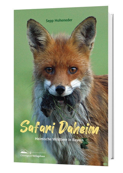Thumbnail - Sepp Hoheneder / Safari Daheim