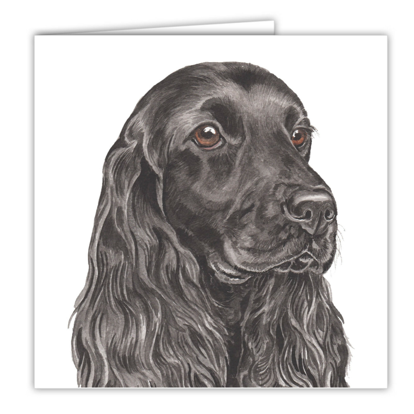 Black English Cocker Spaniel greetings card dog blank card dogs Cockers Spaniels
