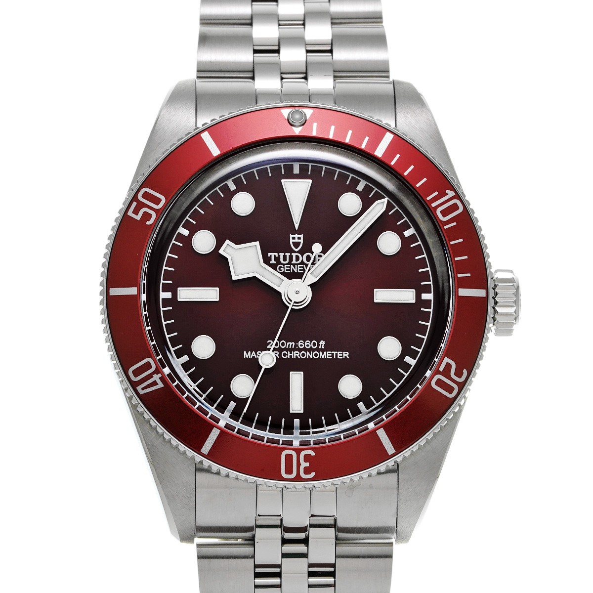 Tudor Black Bay 750032