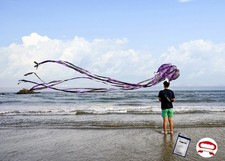 Kite Octopus Large Frameless Soft Parafoil Kites 157 Inchs Long Tail Easy to ...