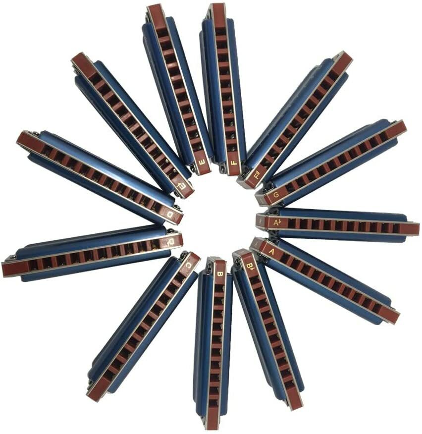 East Top 12-Pack 10 Agujeros 20 Tonos Azul Armónica Set 12 Teclas Profesional Nuevo