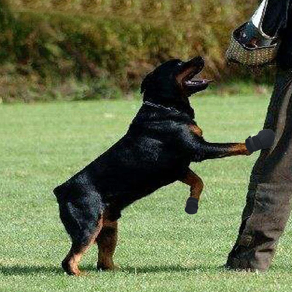 Lot De 2 Protège-pattes En Caoutchouc Antidérapants Et Imperméables Pour Chien - Photo 2/4