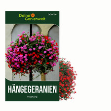 Hängegeranien Mischung Samen - Pelargonium peltatum - Petuniensamen Blumensamen