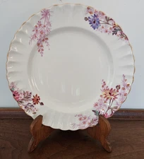 Spode CHELSEA GARDEN China salad plate 8" England Mustard Trim multiple avail.