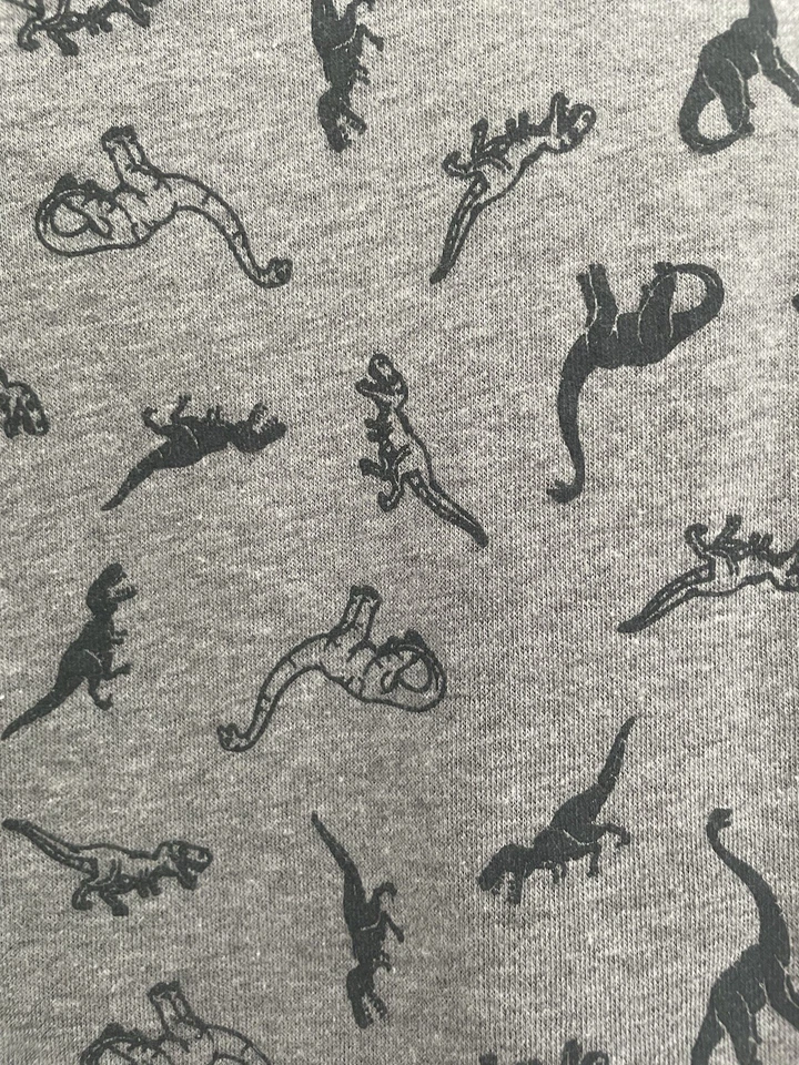 Sudadera Pullover Gris 2T Garanimals Niño Pequeño Estampado Dinosaurio Polar Foto 4 de 4