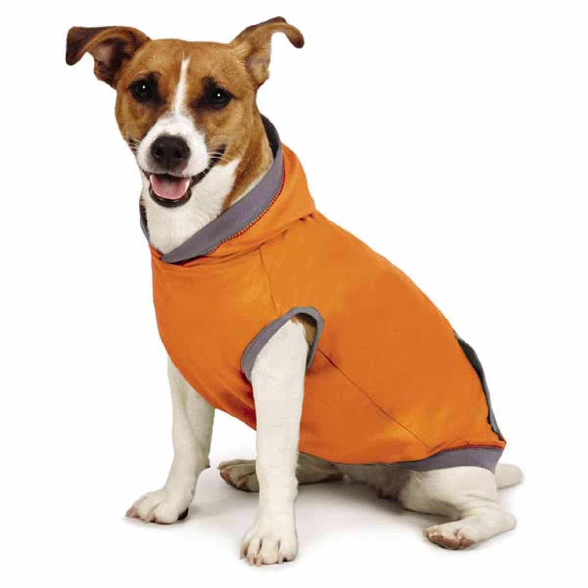 orange dog hoodie