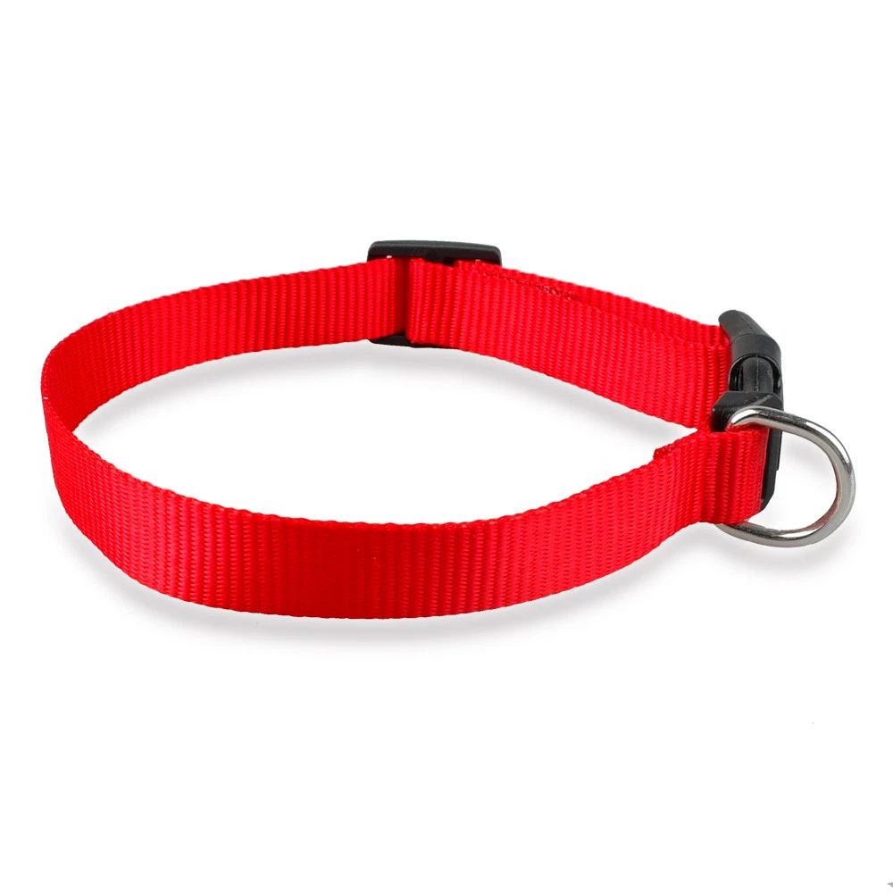Dog collars for tiny dogs top