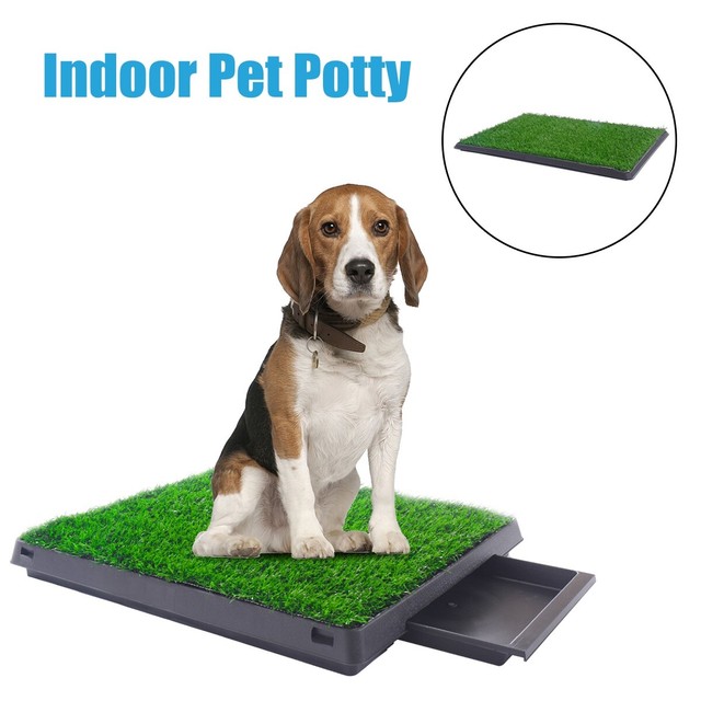 shock pad for dogs