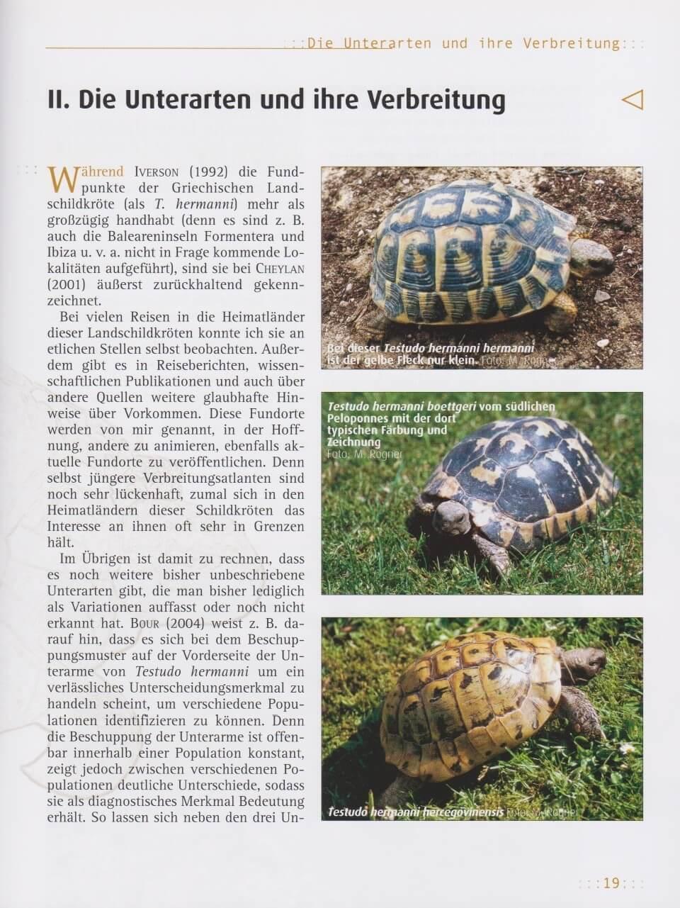 Thumbnail - Griechische Landschildkröten | Manfred Rogner | Taschenbuch | 168 S. |