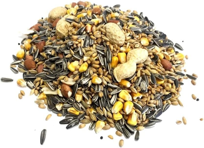 Squirrel Mixture 500g Premium Wild Life Food Garden Seed Feed SMW