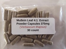 Mullein Leaf 4:1 Extract Powder Capsules Verbascum thapsus 375 mg - 30 Count