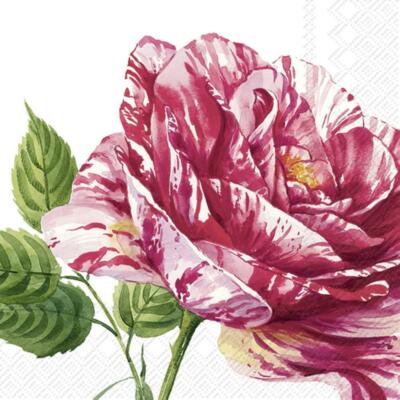 IHR Charlotte Rosa Blume Weiß Mittagessen Papierservietten 20er Pack Einweg 3-lagig