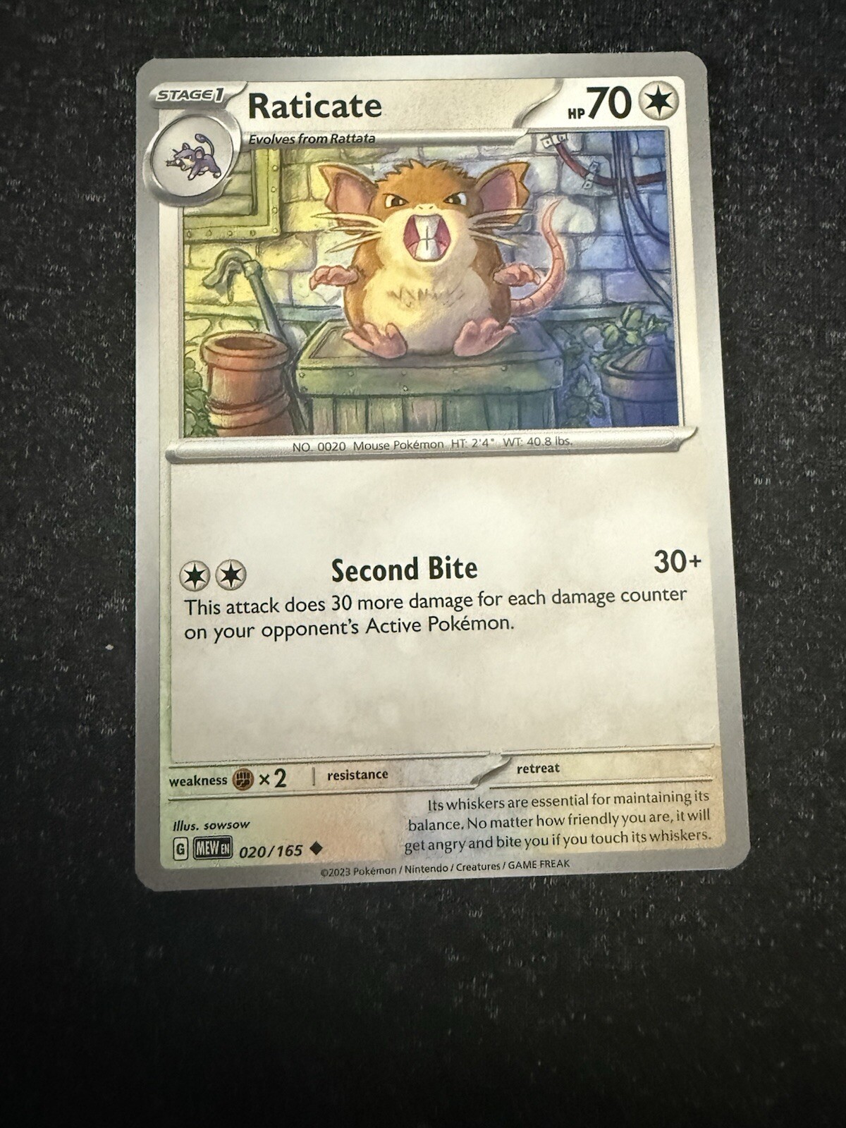 Raticate 020/165- Pokemon 151- Regular Uncommon- NM/M