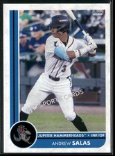 2025 Jupiter Hammerheads Andrew Salas RC Rookie Marlins  Minor League