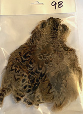 Hen Pheasant Neck  