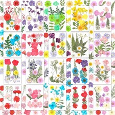 200 Pcs Dried Pressed Flowers for Crafts, 20 Sheets Real Dry Florals and Leav...