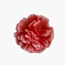 Carnation Boutonniere Orange Lapel Pin Hair Clip Hairpin Accent