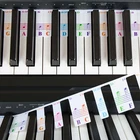 88 Key Full Size Piano Rake Key, Colorful Piano Keyboard Notes for Beginner