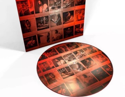 CHRIS CORNELL - NO ONE SINGS LIKE YOU ANYMORE - LIMITED EDITION PICTURE DISC!! - 第 1/3 張圖片