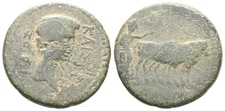 Roman Provincial Bronze Coin - Philippi Macedon 14-37 AD - Tiberius - oxen