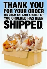 Crazy Cat Lady Starter Kit Funny Birthday Card - Greeting Card by Nobleworks
