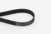 Continental Ctam Keilrippenriemen 6PK976 FüR Alfa Romeo CitroËN Ford Hyundai