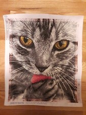 Diamond Art Painting COMPLETED Cat Licking Paw HANDMADE 15 X 18 "Sweet Paw"