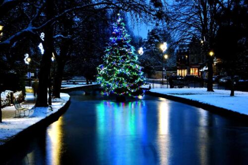 Bourton on the Water Christmas Tree Cotswolds England UK Photograph Picture - Picture 1 of 1