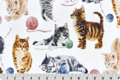 Cat Nip Kittens  Cuddle  Minky Fabric BT yard X 58 inches Shannon