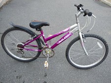 raleigh krush 20 purple