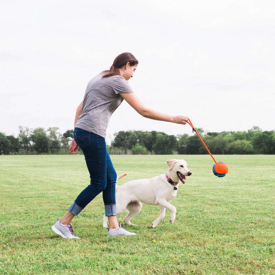 Chuckit! Rope Ball Indoor and Outdoor Fetch Dog Toy, 18" Rope, Blue and Orange