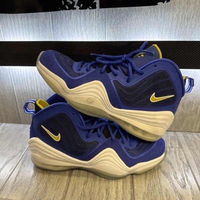 Size 10 - Nike Air Penny 5 Blue Chips