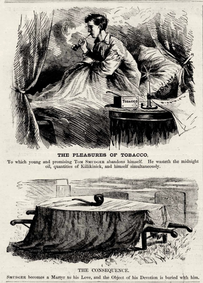 PLEASURES OF TOBACCO CONSEQUENCES OF SMOKING DEATH HEALTH PIPE KINNIKINNICK  1868
