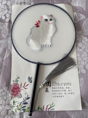 Reine Seide doppelseitig bestickt chinesischer runder Fächer Handarbeit Deko Orna Tanz Geschenk