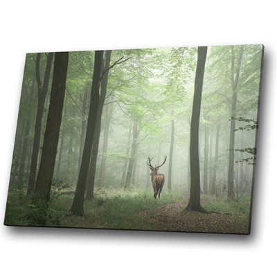 STAG DEER WILD BOARS IN FOREST CANVAS PICTURE PRINT WALL ART HOME DECOR