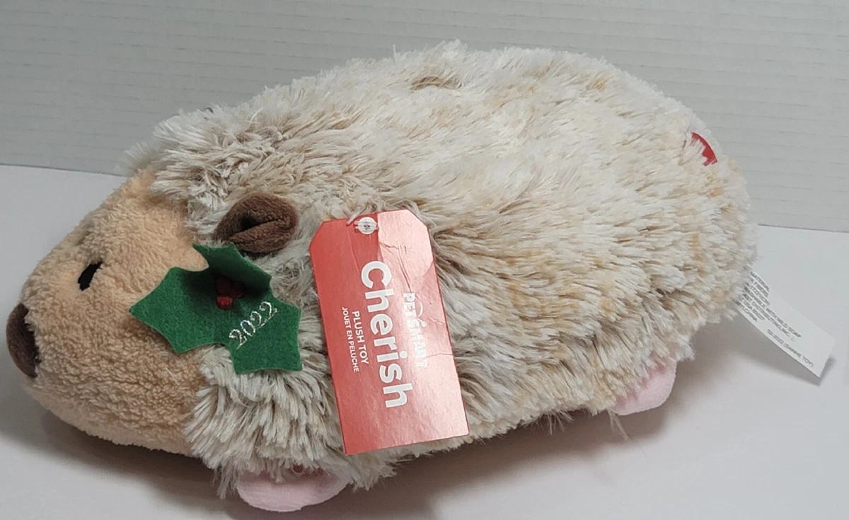 Hedgehog dog toy petsmart cheap