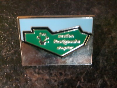 Section Restigouche Chapter Lapel Pin Pinback FREE COMBINED SHIPPING
