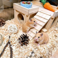 Hideout House w/Platform, Bowl & Ladder for Syrian & Dwarf Hamsters