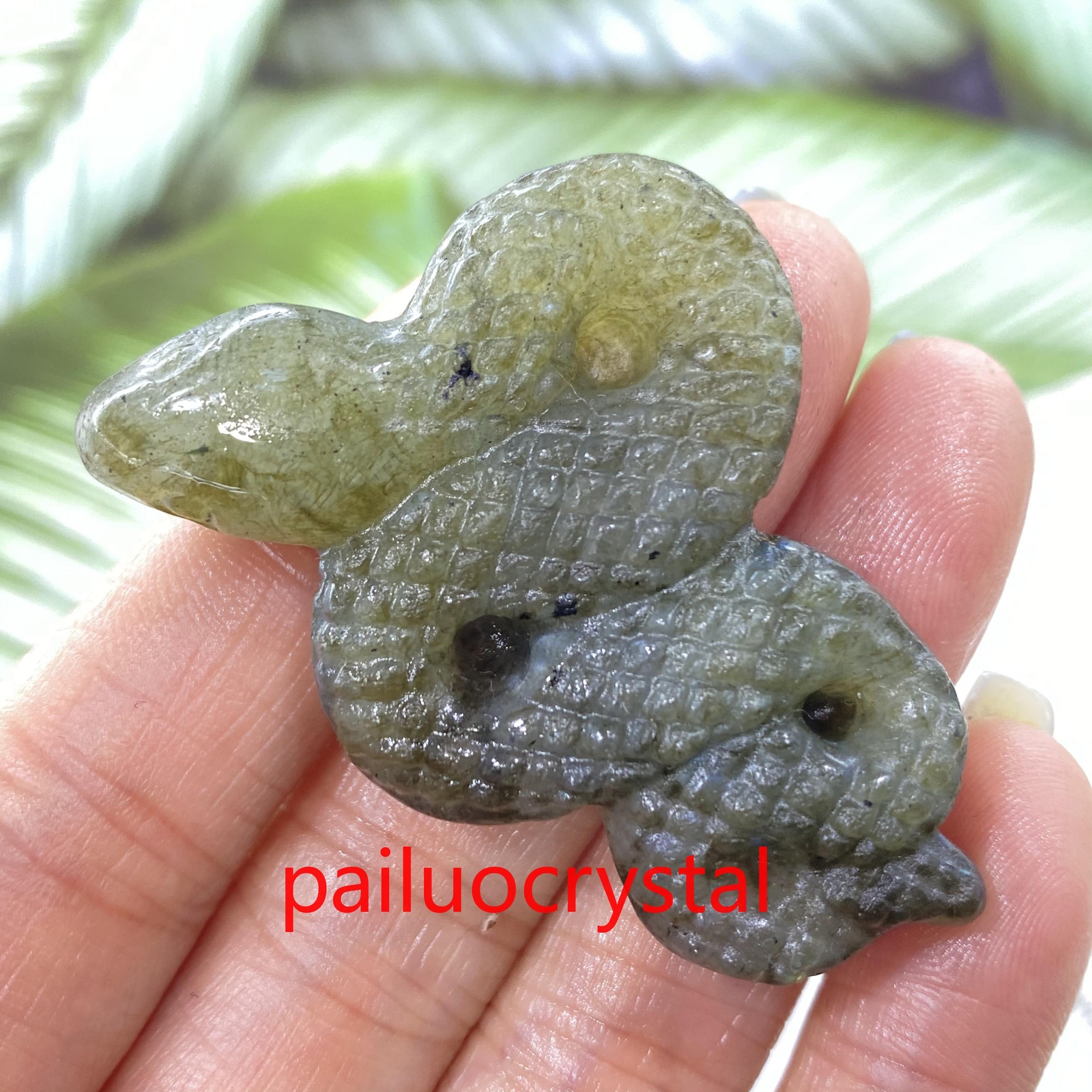 1pc Natural Labradorite Snake Skull Quartz Crystal Skull Carved Figurines Gem 2