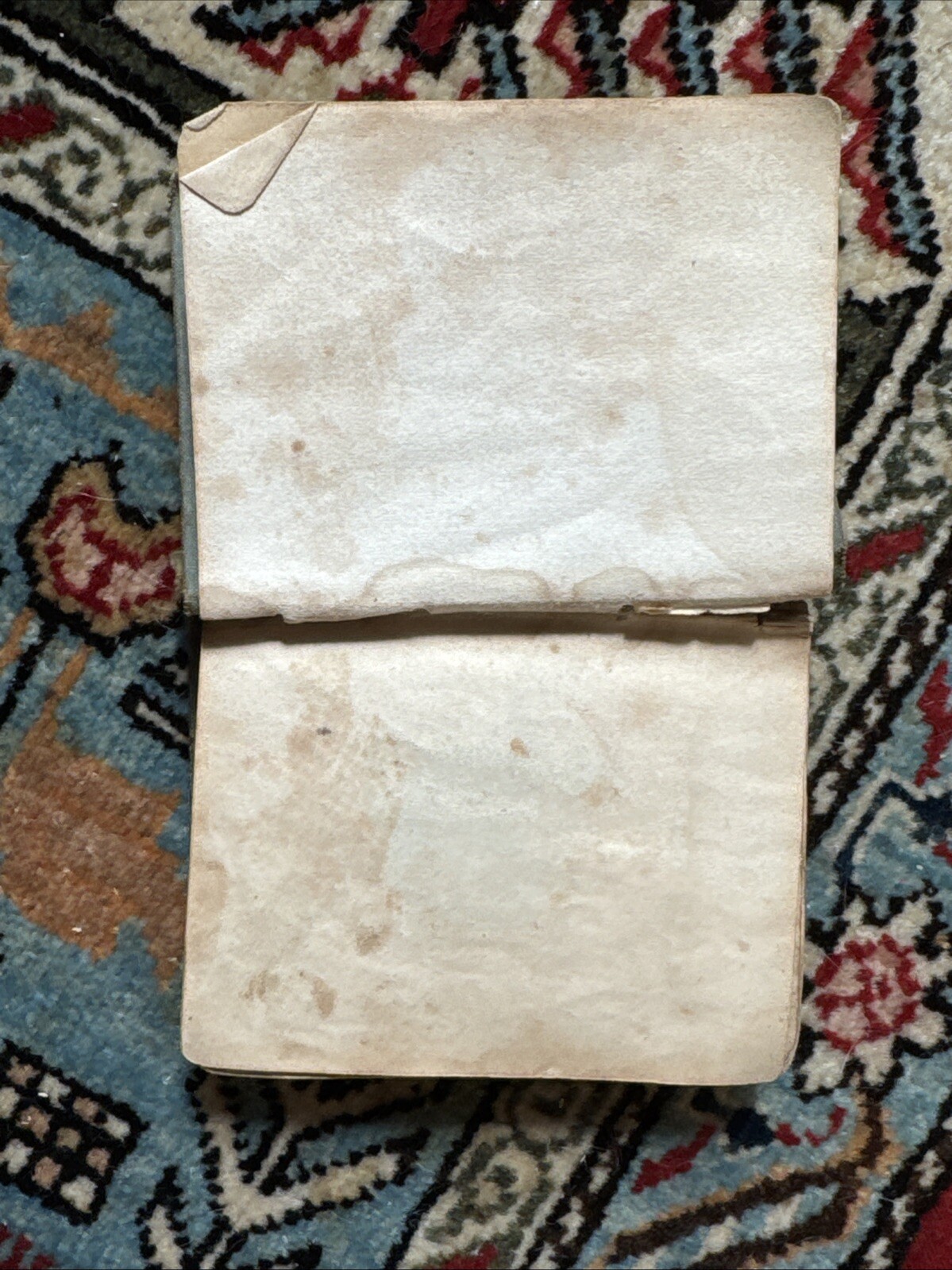 Foto 7 di 14