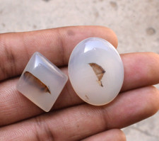 Pietra preziosa sciolta multi cabochon agata dendrite scenica naturale 57 cts.