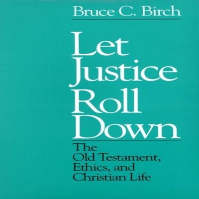 Let Justice Roll down Bruce C. Birch Paperback Presbyterian Publi