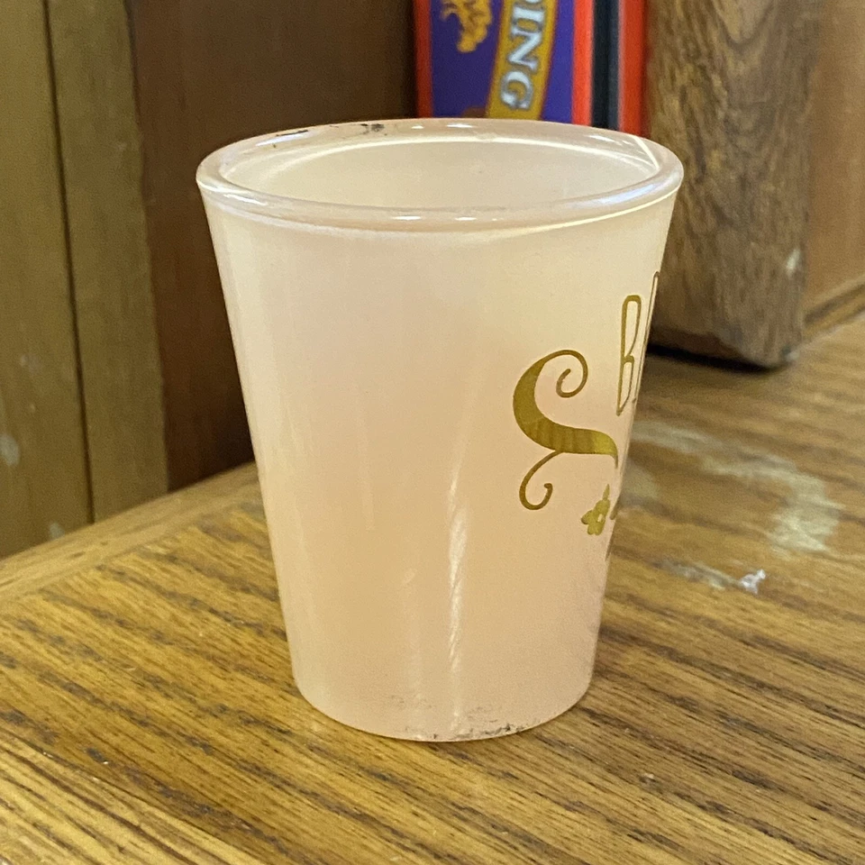 Fiesta nupcial de cristal de chupito de tribu novia Foto 2 de 4